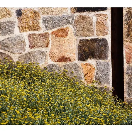 La Janna Di Lianti Tatil Evi