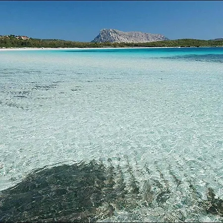 La Janna Di Lianti *
