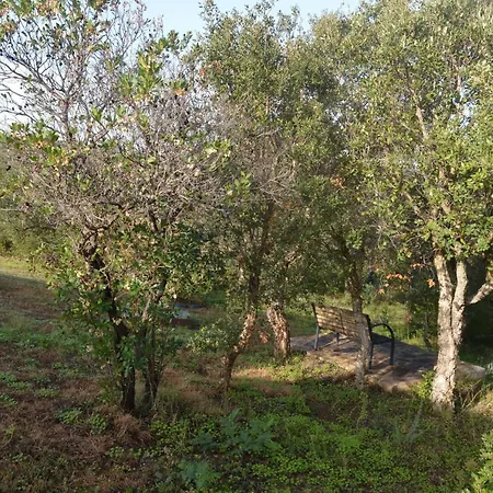 La Janna Di Lianti